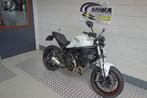 DUCATI MONSTER 797 (bj 2019), 2 cilinders, Motorrijbewijs A, Bedrijf, Meer dan 35 kW