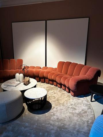 De Sede DS600 snake / slang sofa, 22 elementen designer bank beschikbaar voor biedingen