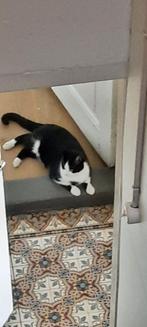 VERMIST!