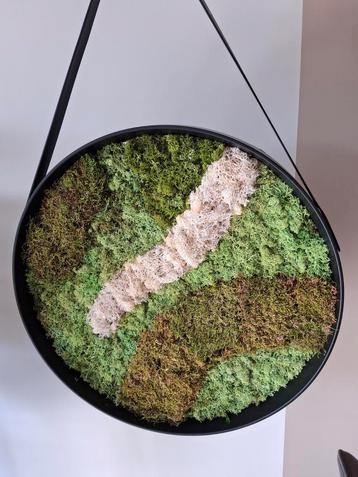 Mosschilderij 52cm diameter beschikbaar voor biedingen