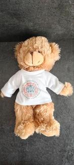 Kroningsbeer Charles III - Regal Toys - Collectors Item, Ophalen of Verzenden, Zo goed als nieuw, Buitenland, Overige typen