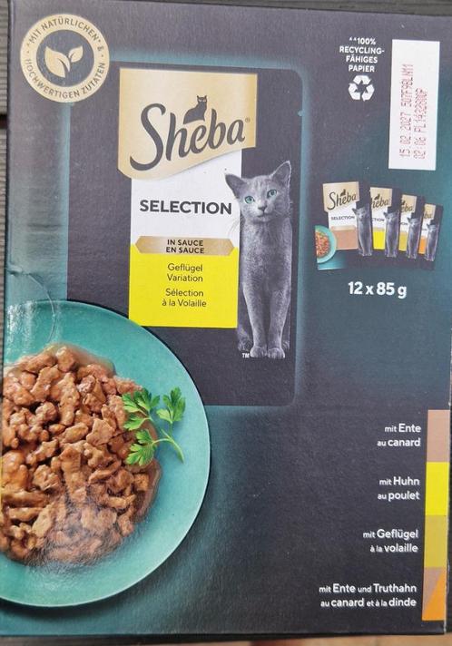 kattenvoer, Dieren en Toebehoren, Dierenvoeding, Kat, Ophalen
