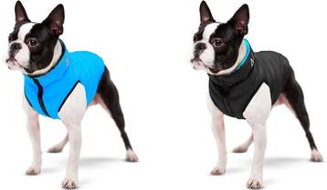 AiryVest Versatile Hondenjas Omkeerbaar M47 Black-Blue -50%! beschikbaar voor biedingen