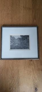 Ets Boslandschap E.R. Homan, Ophalen