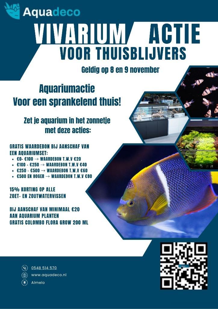 Vivarium thuisblijvers opgelet!!!!!, Dieren en Toebehoren, Vissen | Aquariumvissen, Vis