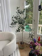 Kunst Olijfboom - Nieuw, Ophalen, Nieuw, Binnen