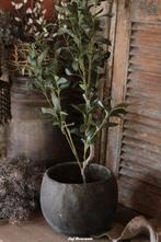 (Kunst) olijfboom, Nieuw, Ophalen of Verzenden, Info@jufbrocante.nl, Juf Brocante