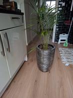Mooie luxe plantenpot of hoge vaas, Rond, Ophalen of Verzenden, Zo goed als nieuw, Minder dan 25 cm
