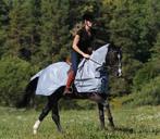 Bucas Buzz-Off Riding uitrij vliegendeken, maat S, M, L, XL, Dieren en Toebehoren, Paarden en Pony's | Dekens en Dekjes, Ophalen of Verzenden