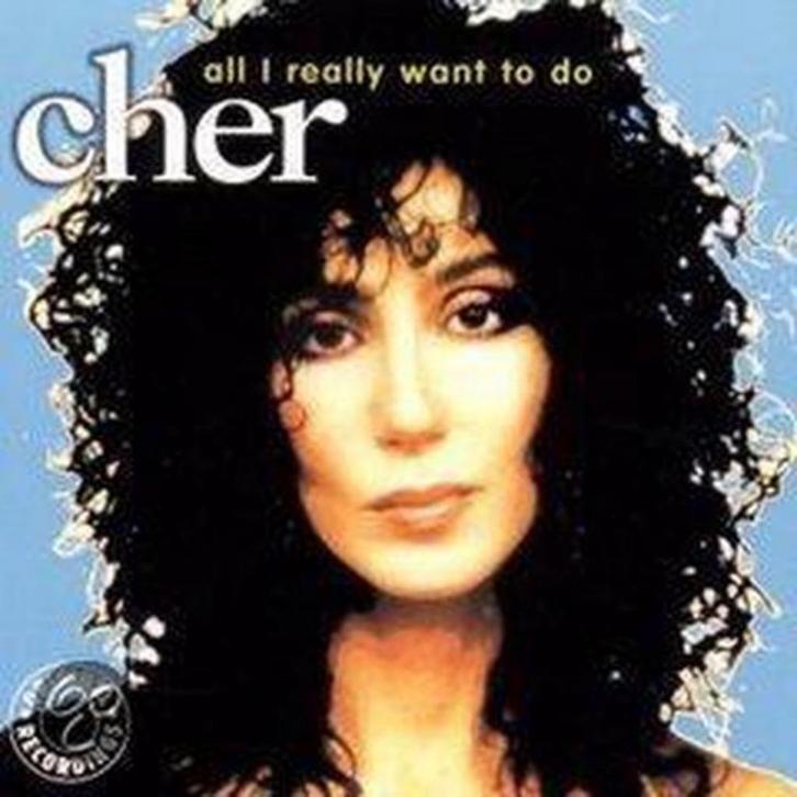 CHER - All I Really Want To Do, Cd's en Dvd's, Cd's | Pop, Zo goed als nieuw, 1980 tot 2000, Ophalen of Verzenden