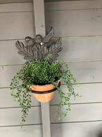 Mooie gietijzeren plantenbakhouder, Ophalen of Verzenden, Gebruikt
