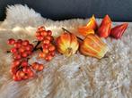Sierfruit 'Pompoenen en bessen', Huis en Inrichting, Ophalen of Verzenden, Zo goed als nieuw