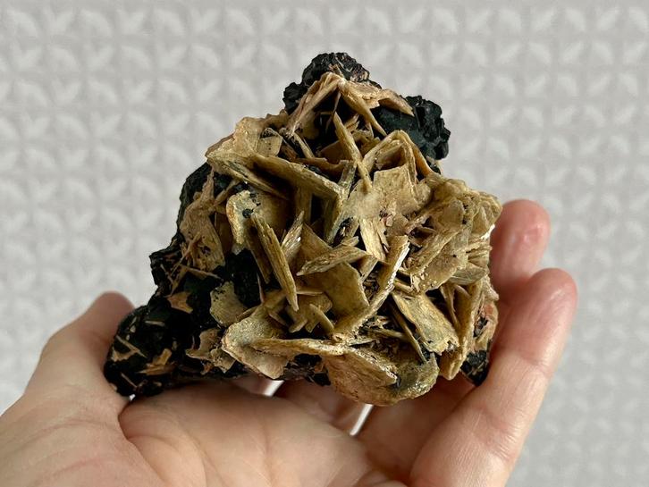 Bariet op donkerpaarse fluoriet uit Wolsendorf, Duitsland, Verzamelen, Mineralen en Fossielen, Mineraal, Ophalen of Verzenden