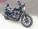 HARLEY-DAVIDSON SPORTSTER IRON 883 Harley Davidson harley883, 2 cilinders, Bedrijf, 883 cc, Meer dan 35 kW