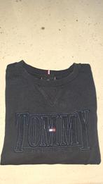 Tommy Hilfiger sweater donkerblauw maat 176, Trui of Vest, Zo goed als nieuw, Jongen, Tommy hilfiger