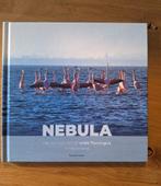 Nebula, Ophalen of Verzenden, Nieuw