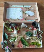 Stekjes Box, Stel Zelf Samen!, Ophalen of Verzenden, Halfschaduw, Minder dan 100 cm