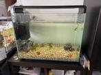 Superfish home 85 aquarium met onderkast, Dieren en Toebehoren, Ophalen, Zo goed als nieuw, Leeg aquarium