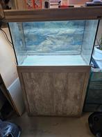 Aqualantis aquarium, Dieren en Toebehoren, Ophalen, Gebruikt, Leeg aquarium