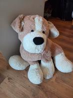 Grote Pluche Hond Knuffel, Kinderen en Baby's, Speelgoed | Knuffels en Pluche, Ophalen of Verzenden, Zo goed als nieuw, Hond