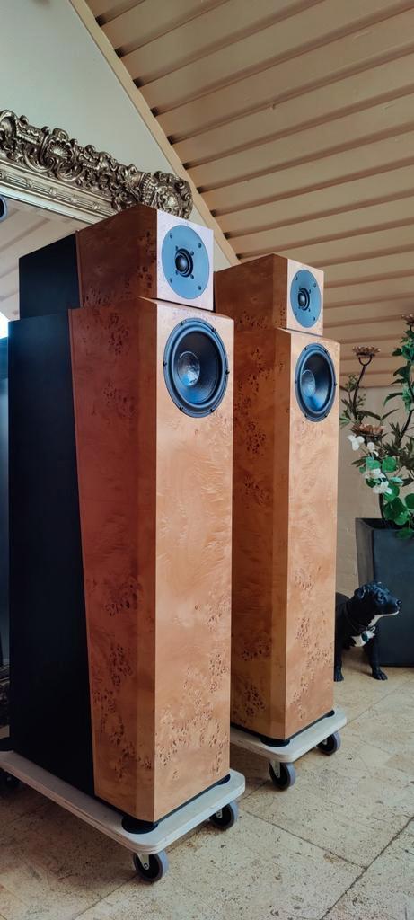 Master Reference Sen - Zuilspeaker BurlWalnut Veneer Black., Audio, Tv en Foto, Luidsprekers, Zo goed als nieuw, Front, Rear of Stereo speakers