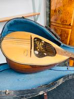 Vintage Mandoline gitaar inclusief koffer, Ophalen, A, A, A