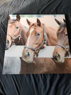Paarden op canvas, Minder dan 50 cm, Ophalen of Verzenden, Zo goed als nieuw, Schilderij