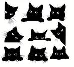 snijmallen Kattenkopjes NIEUW, Verzenden, Nieuw, Dieren, Pons of Mal