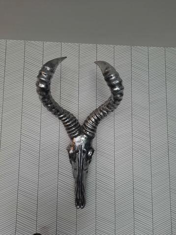 Zilveren Impala Schedel Wanddecoratie beschikbaar voor biedingen