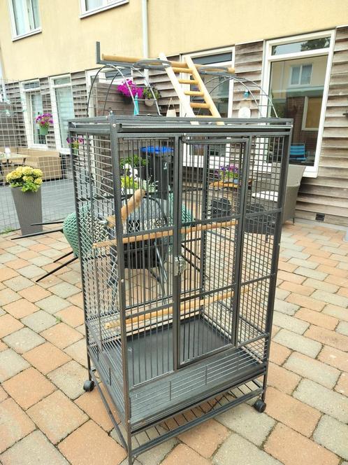 Mooie ruime Strong papegaaien kooi, Dieren en Toebehoren, Vogels | Hokken en Kooien, Zo goed als nieuw, Vogelkooi, Metaal, Ophalen