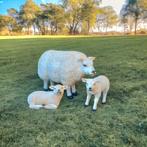 Tuinbeeld schaap polyester dieren, schapen, decorbeelden, Tuin en Terras, Tuinbeelden, Ophalen, Nieuw, Kunststof, Dierenbeeld