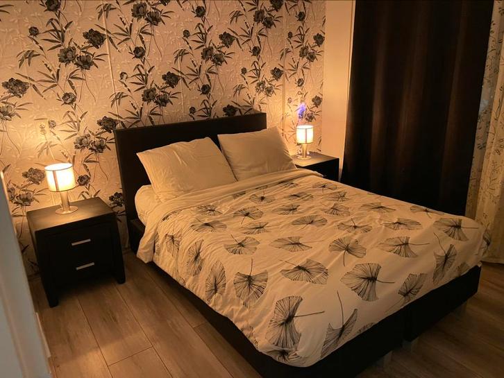 Furnished Apartment to sublet starting 1st of October, Huizen en Kamers, Kamers te huur, Rotterdam