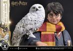Prime Collectibles Statue Harry Potter with Hedwig, West Campus 1 76863 Herxheim (DE), Heo GmbH, Nieuw, Ophalen of Verzenden