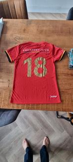 Voetbalshirt België 2018, Sport en Fitness, Voetbal, Ophalen of Verzenden, Zo goed als nieuw, Shirt