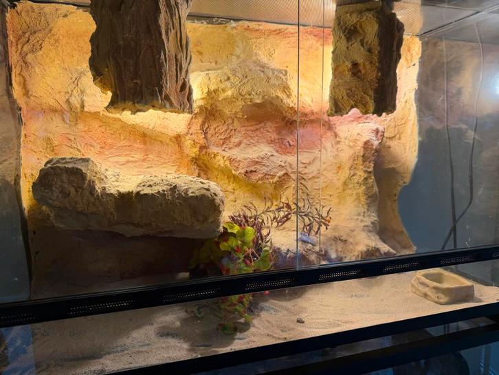 Luxe 3D Rock Navajo Terrarium (80x40x50), Dieren en Toebehoren, Reptielen en Amfibieën | Toebehoren, Gebruikt, Terrarium of Paludarium