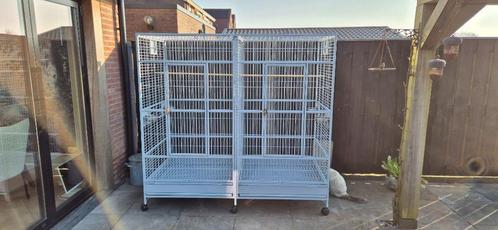 Strong Papegaaikooi Villa Amalia / 200cm x 100cm x 190 cm, Dieren en Toebehoren, Vogels | Parkieten en Papegaaien, Papegaai, Mannelijk