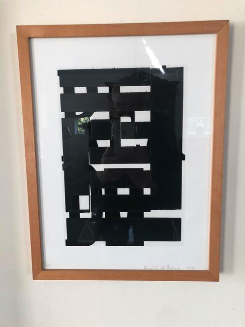 Ronald de Bloeme 2012  (8/15)., Antiek en Kunst, Kunst | Litho's en Zeefdrukken, Ophalen of Verzenden