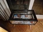 Knaagdierkooi hamster, Dieren en Toebehoren, Kooi, Zo goed als nieuw, Hamster, Ophalen