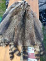 Wasbeer huiden, Ophalen of Verzenden, Nieuw, Wild dier, Overige typen