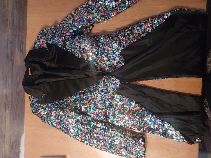 Glitter slipjassen en giletje met strik totaal 17 stuks, Kleding | Dames, Jasjes, Kostuums en Pakken, Zo goed als nieuw, Maat 46/48 (XL) of groter