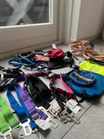 Partij verkoop hondenspullen -zie foto en beschrijving-, Dieren en Toebehoren, Honden-accessoires, Ophalen of Verzenden, Nieuw