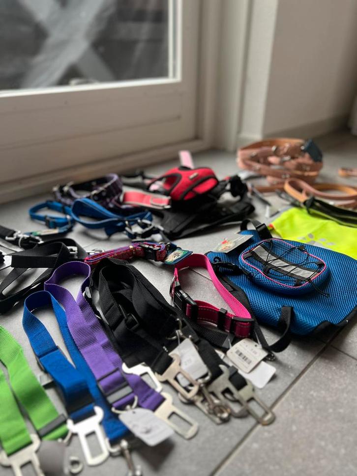 Partij verkoop hondenspullen -zie foto en beschrijving-, Dieren en Toebehoren, Honden-accessoires, Nieuw, Ophalen of Verzenden