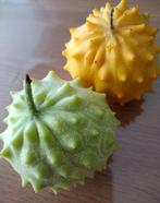 Zaden Kiwano/Afrikaanse augurk - Cucumis metuliferus, Tuin en Terras, Verzenden, Voorjaar, Volle zon, Zaad