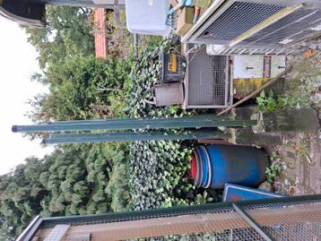 Palen  groen met betonpoer beschikbaar voor biedingen