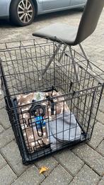 Bench met deken, 3 rollenzakjes, tuigje,droogdoek, autoriem, Ophalen, Zo goed als nieuw