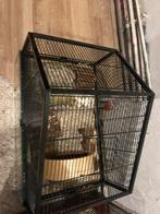 Hamsterkooi, Ophalen of Verzenden, Zo goed als nieuw, Metaal, Vogelkooi