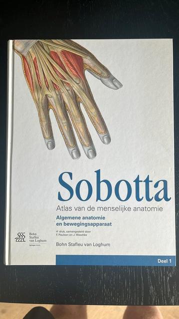 Sobotta deel 1 Algemene anatomie en bewegingsapparaat beschikbaar voor biedingen