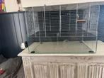 Hamster kooi, glas met tralies en hamster materialen, Dieren en Toebehoren, Kooi, Gebruikt, Minder dan 75 cm, Hamster