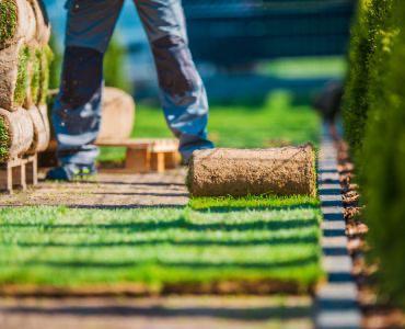 Tuinman aangeboden, Diensten en Vakmensen, Tuinmannen en Stratenmakers, Tuinonderhoud of Snoeiwerk, Tuinontwerp