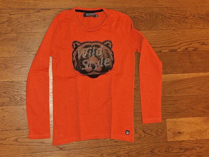 Longsleeve maat 152/158, Kinderen en Baby's, Kinderkleding | Maat 152, Zo goed als nieuw, Jongen, Shirt of Longsleeve, Ophalen of Verzenden
